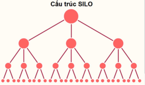 Cấu trúc Silo là gì?