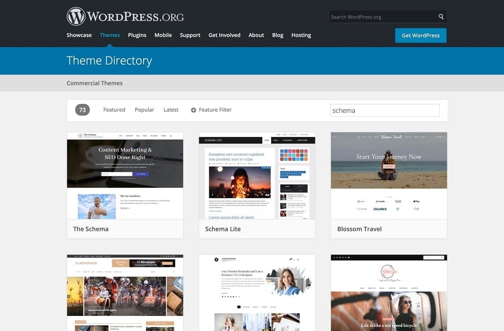 tạo Schema trên wordpress